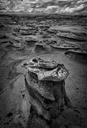 Hoodoos, Bisti/De-Na-Zin Wilderness, NM