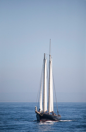 Sailboat, San Diego Harbor, CA