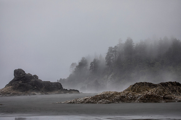 Ruby Beach and Coastal Fog, Olympic National Park, WA