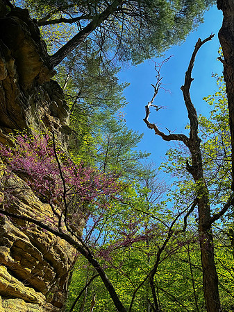 Starved Rock State Park, IL
