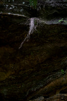 Starved Rock State Park, IL