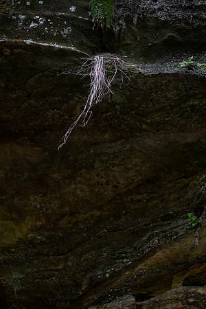 Starved Rock State Park, IL