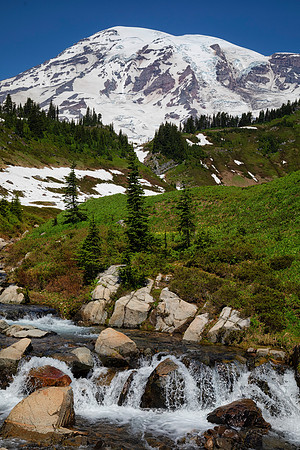 Edith Creek, Mt. Rainier National Park, WA