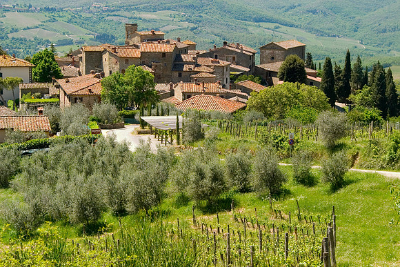 Volpaia from Above, Chitanti, Italy