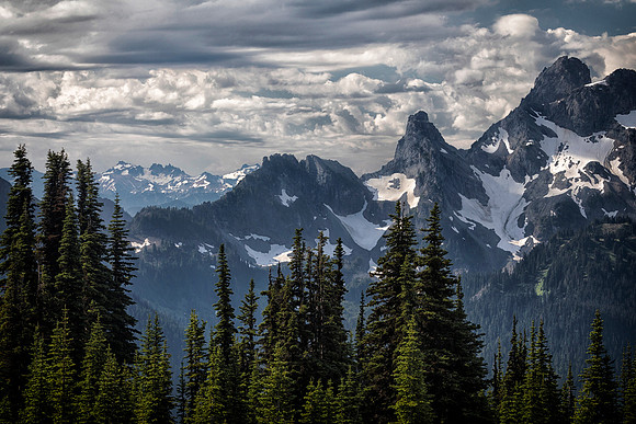 Tatoosh Range, Mt. Rainier National Park, WA