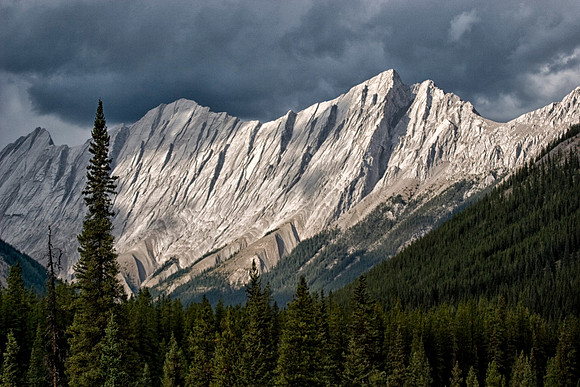 Sirdar Mountains III, Jasper National Park, Alberta, Canada
