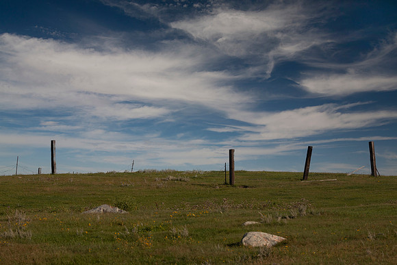 Fence Posts, Ward County, ND