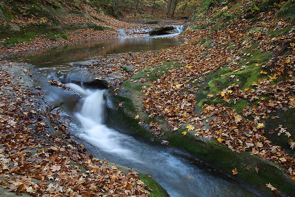 Autumn, Upper Illinois Canyon, Starved Rock State Park, IL