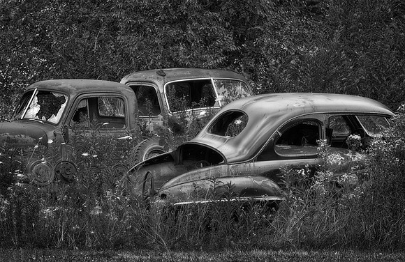 Out Back, Eleroy, IL