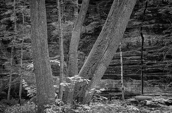 Illinois Canyon, Starved Rock State Park, IL