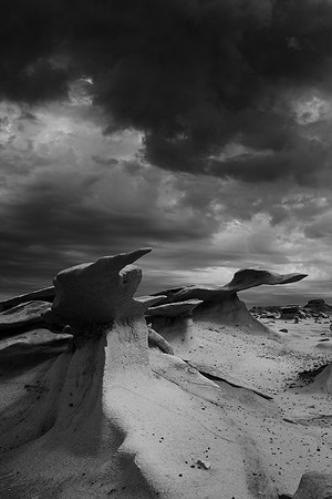 Wings Under the Dark Cloud, Bisti/De-Na-Zin Wilderness, NM