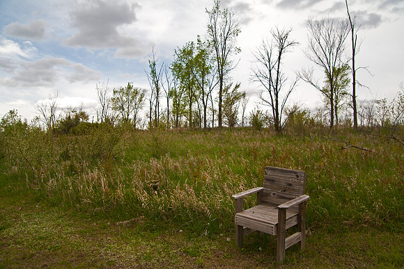 Seat, Upper Meadow