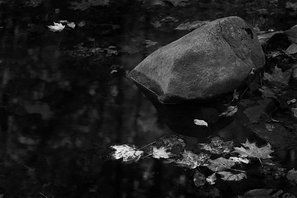 Leaves and Boulder, Starved Rock State Park, IL