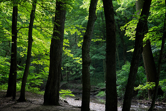 Starved Rock State Park, IL