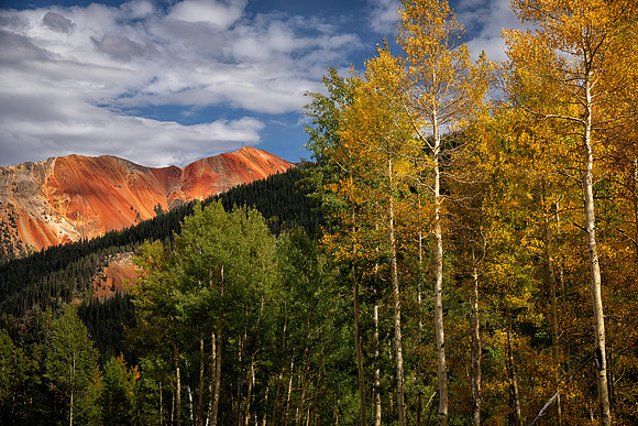 Autumn Color Near Ouray, San Juan Mountains, CO