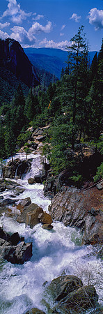 Yosemite National Park, California