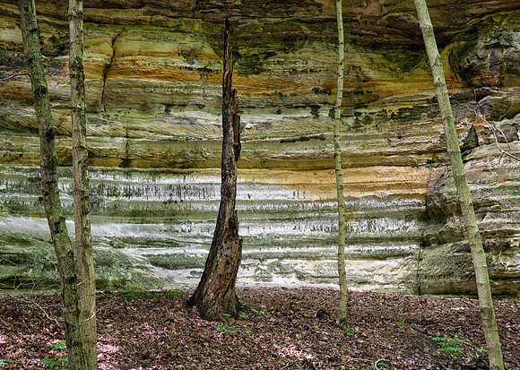 Illinois Canyon, Starved Rock State Park, IL