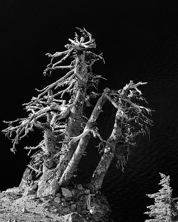 Discovery Point, Crater Lake National Park, OR