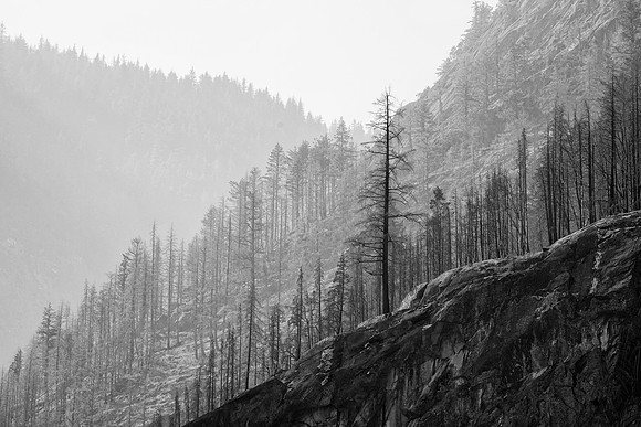 Smoky Hillside, Newhalem, North Cascades National Park, WA