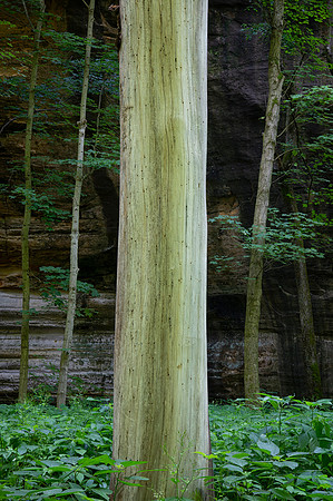 Starved Rock State Park, IL