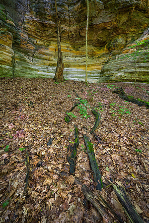 Illinois Canyon, Starved Rock State Park, IL