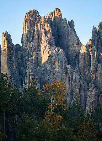 Cathedral Spires and Birch, Needles Highway, Custer State Park, SD