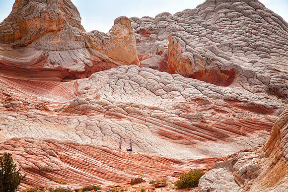 White Pocket, Vermilion Cliffs National Monument, AZ