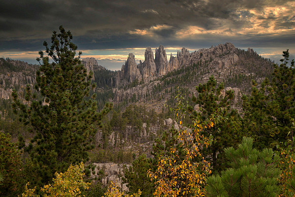 Late Day, Custer State Park, SD
