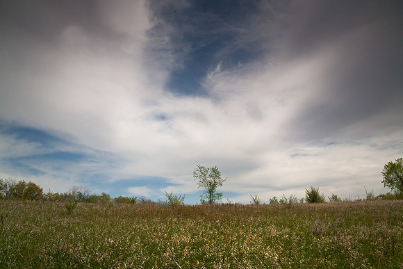Upper Meadow, Clouds