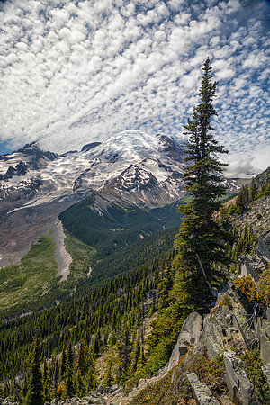 Emmons Glacier Overlook, Burroughs Mountain Trail, Mt. Rainier National Park, WA