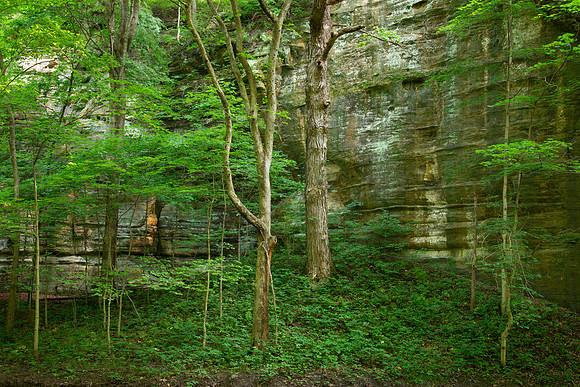 Starved Rock State Park, IL