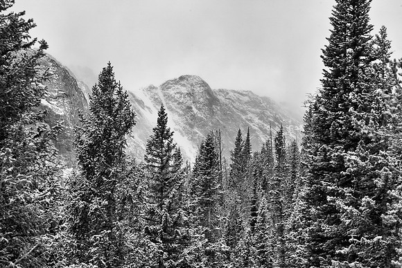 Bear Lake Winterscape, Rocky Mountain National Park, CO