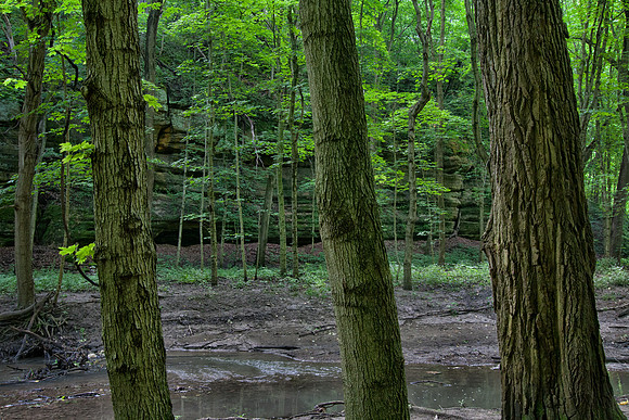 Illinois Canyon, Starved Rock State Park, IL