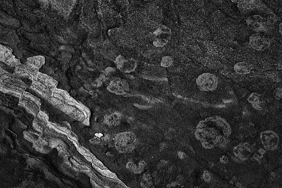 Patterns in Sandstone, White Pocket, Vermilion Cliffs National Wilderness Area, AZ