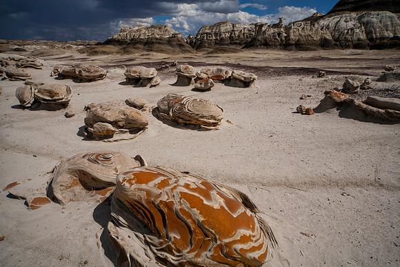 Gathering Storm, Bisti/De-Na-Zin Wilderness, NM