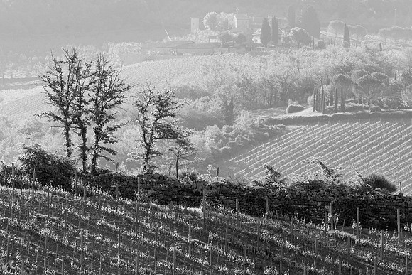 Villa Rosa Hillside, Tuscany, Italy