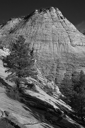 Checkerboard Mesa, Zion National Park, UT