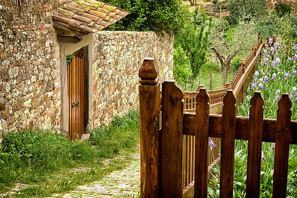 Iris and Fence, Montefioralle, Italy