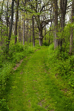 Path to Upper Meadow