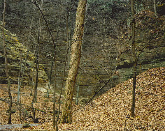 St. Louis Canyon, Starved Rock State Park, IL