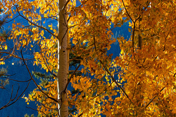 Autumn, San Juan Mountains, CO