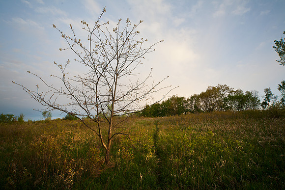 Deerpath