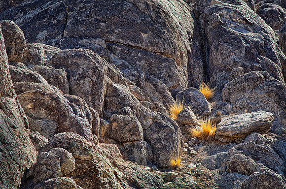 Detail, The Grandstand, Death Valley National Park, CA