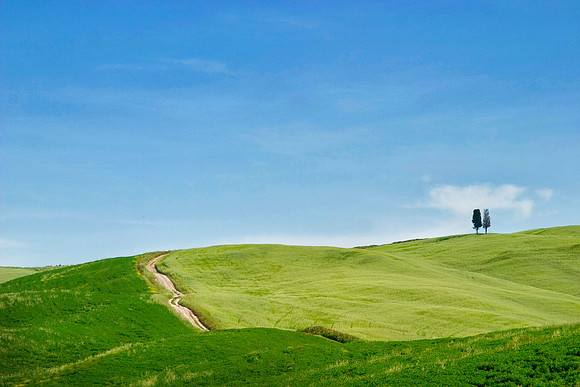 Tuscan Hillside, Italy
