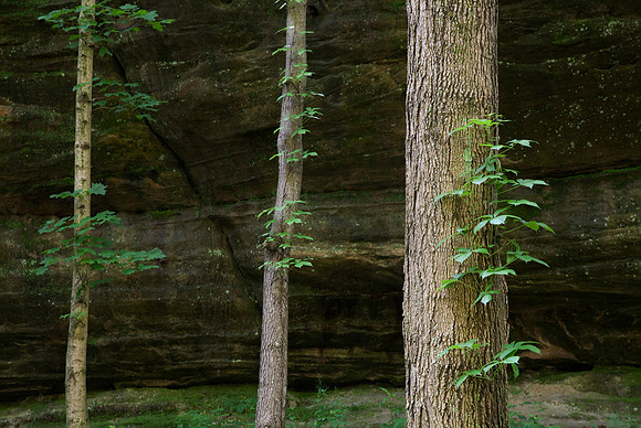 Illinois Canyon, Starved Rock State Park, IL