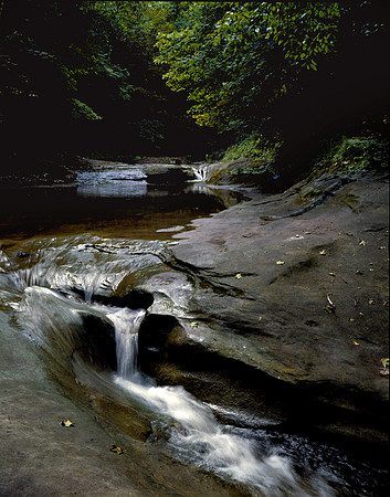 Upper Illinois Canyon, Starved Rock State Park, IL