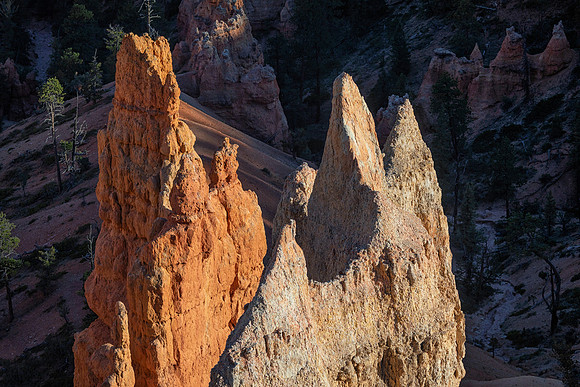 Pinnacles at Sunset, Bryce Canyon National Park, UT