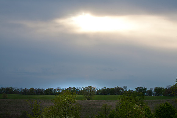 Sunburst