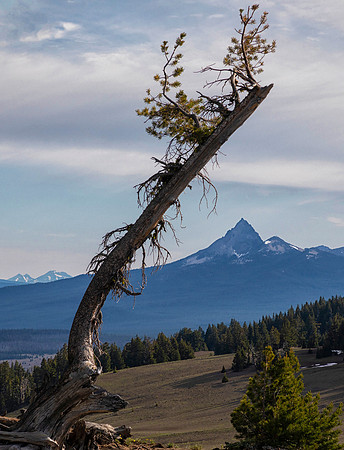 Diamond Peak and Mt. Bachelor, Crater Lake National Park, OR