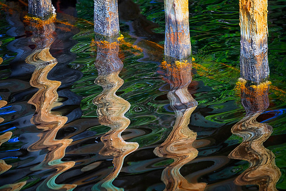 Pilings Everglades National Park, FL